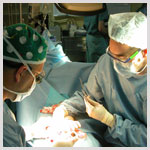 Plants: image 1 0f 4 thumb