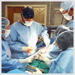 Plants: image 1 0f 4 thumb