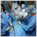 Plants: image 1 0f 4 thumb