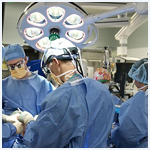 Plants: image 1 0f 4 thumb