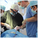 Plants: image 1 0f 4 thumb